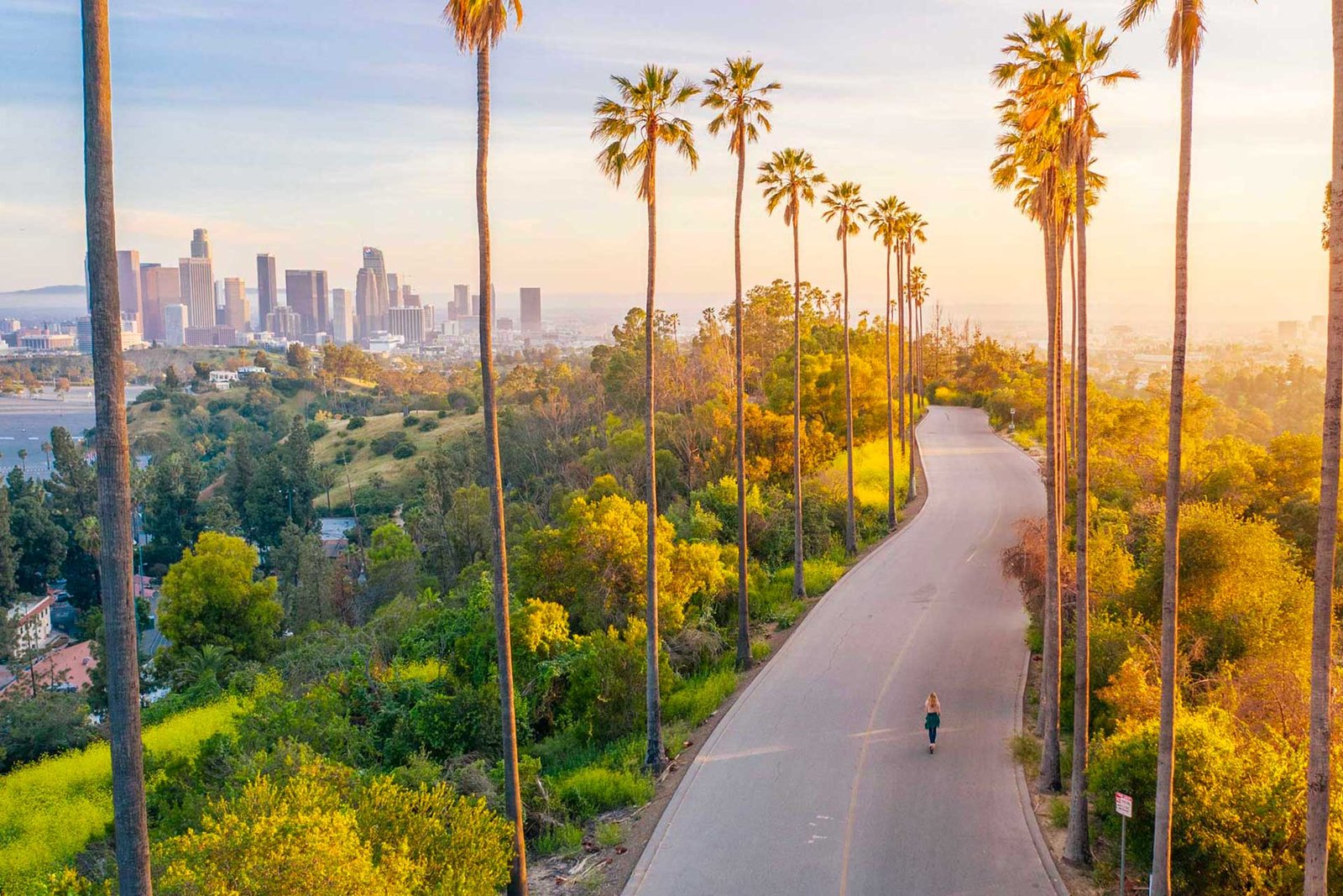 Must-See Landmarks